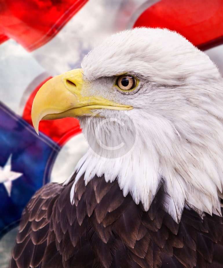 What Presidential Candidates Need.